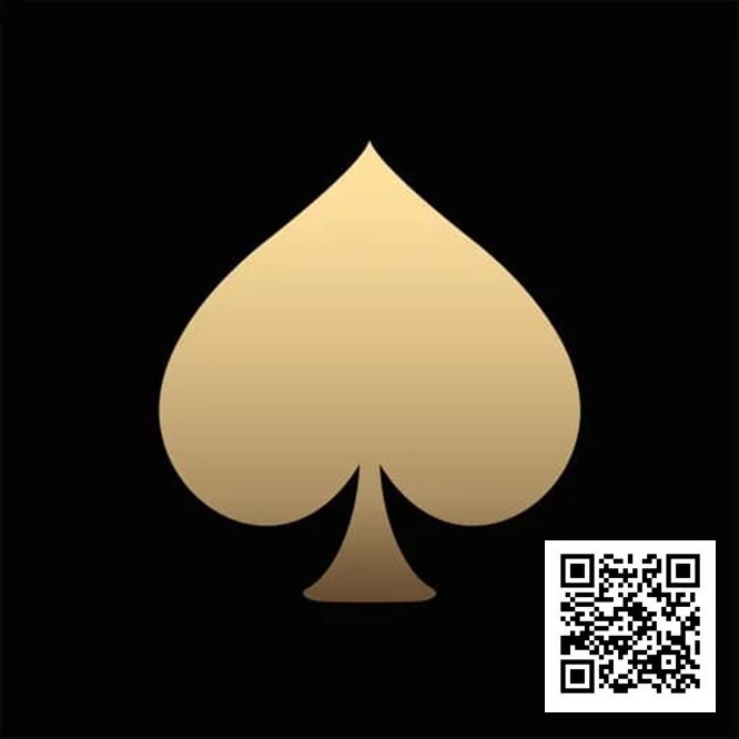 【APT扑克】大陆扑克圈黄金时代，每天4K止盈都算保守