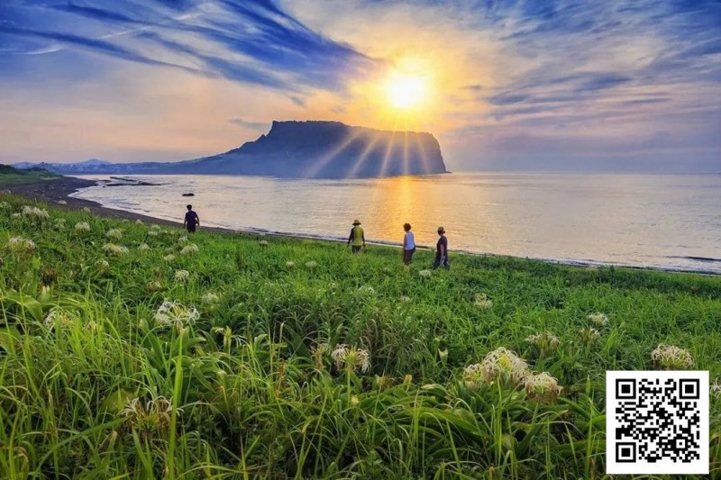 【APT扑克】别Till，来Jeju Chill——必去景点+路线打包+管家制定