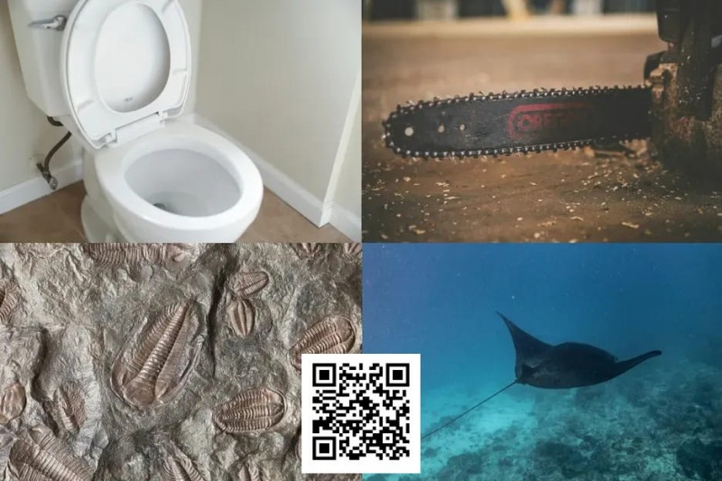 【APT扑克】扑克界谁的绰号最炸裂：电锯、魔鬼鱼、石化人、马桶？