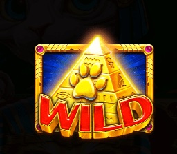 【APT扑克】埃及神猫：探寻古埃及的未解之谜