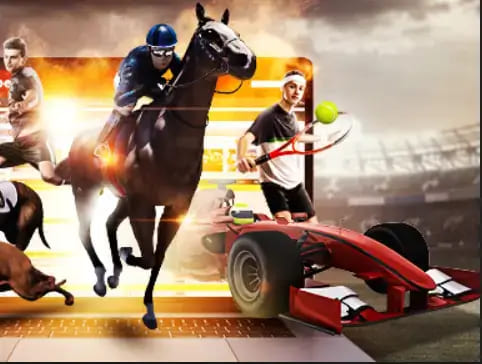 【APT扑克】大发娱乐《百练赛》：巅峰竞技，燃爆全场的英雄对决！