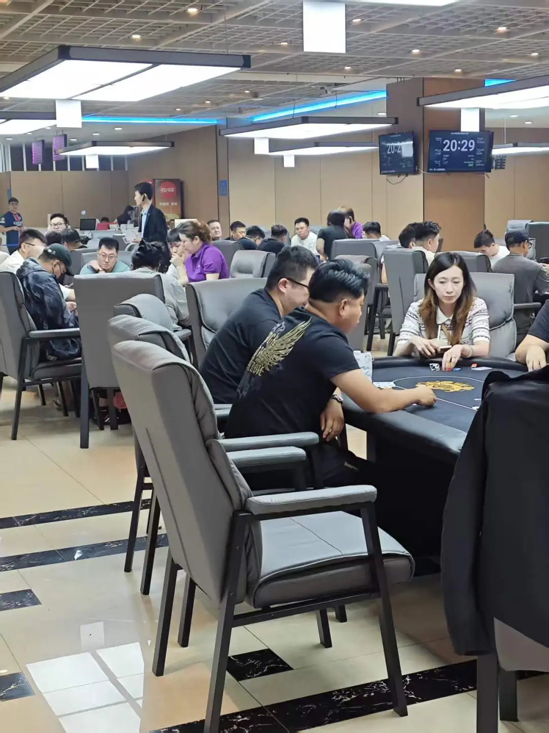 【APT扑克】DBPT城市智力竞技S1赛季 | 战火升级！213人征战主赛B组，王商舜登顶“新东北王”