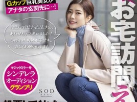 【APT扑克】神木丽(Kamiki-Rei)作品STARS-599介绍及封面预览