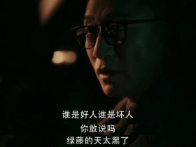 【APT扑克】《扫黑风暴》高明远贺芸什么关系?高明远贺芸下场如何?