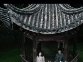 【APT扑克】《八角亭谜雾》念玫为什么和小姑长得像一模一样?田老师是凶手吗?