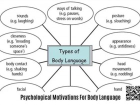 【APT扑克】《卡罗的马脚大全》精华内容总结,一篇文章读懂一本书!