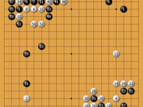【APT扑克】围棋定式大数据研究:胜率背后的布局演变正在被重新书写